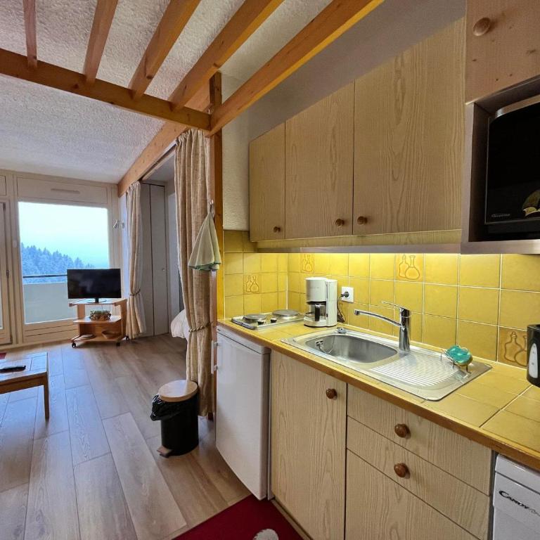 Spacieux Studio Rénové 39m² avec Balcon, Garage - Villard-de-Lans - FR-1-515-166 - Studio - 5