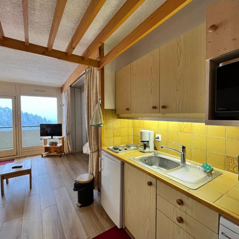 Spacieux Studio Rénové 39m² avec Balcon, Garage - Villard-de-Lans - FR-1-515-166 - Studio - 8