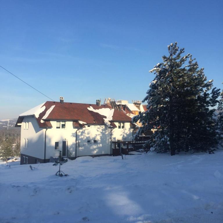 Studio Viline kose - Apartman sa 1 Spavaćom Sobom - 6