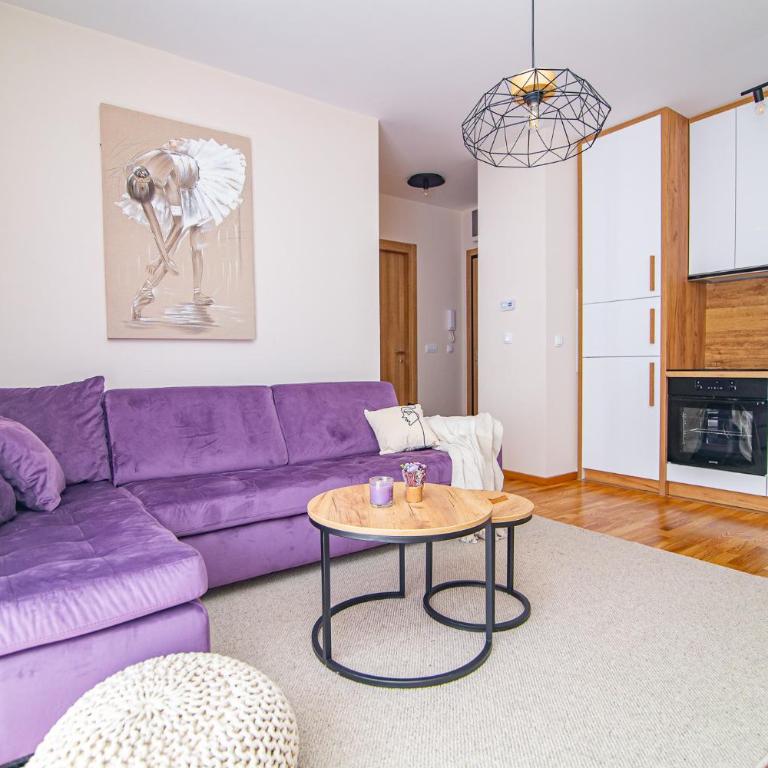 Apartman Marija - Vila Elsa III - Apartman sa 1 Spavaćom Sobom - 13