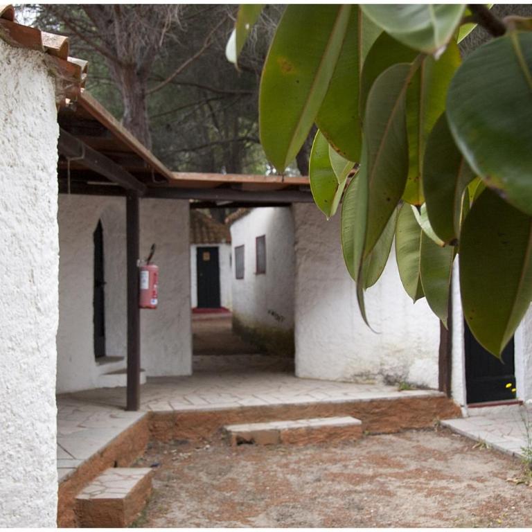 Camping Baia Saraceno - One-Bedroom Bungalow with Kitchenette - 1
