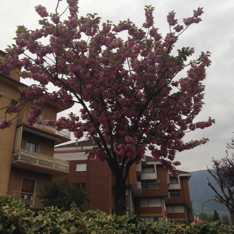 Garni Villa Betty - Camera Quadrupla - 6