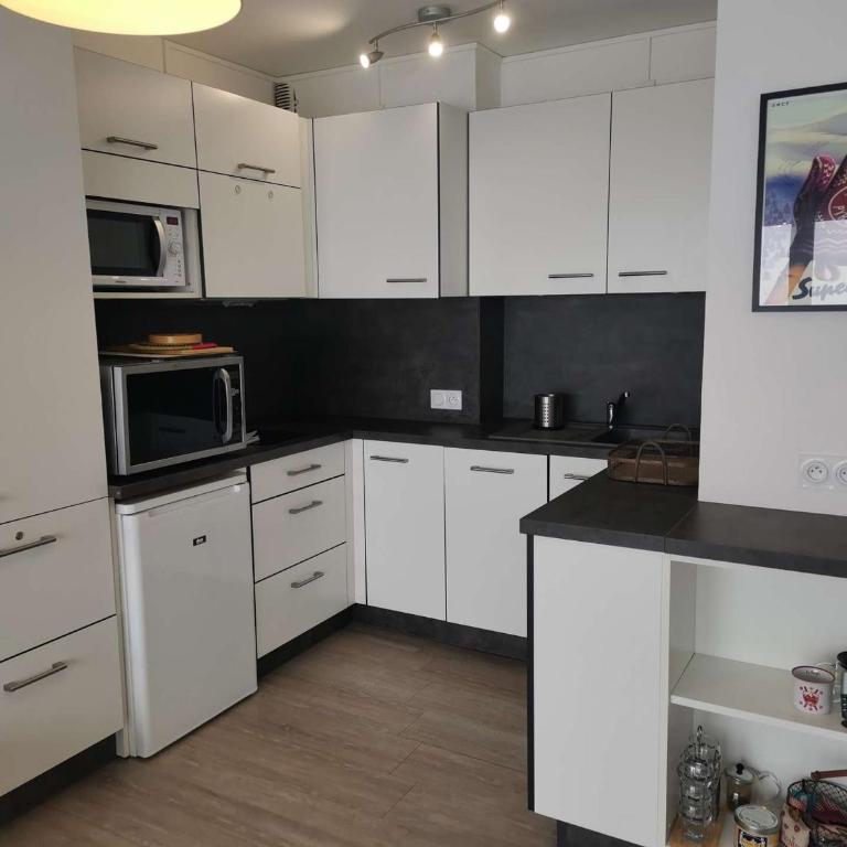 Charmant studio 4 pers avec balcon, centre station, proche pistes, ascenseur - Studio - 12
