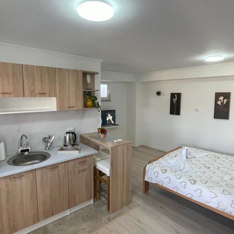 Apartman MIM - Studio s Pogledom na Vrt - 13