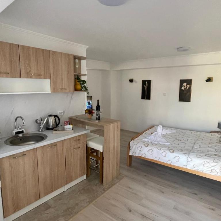 Apartman MIM - Studio s Pogledom na Vrt - 22