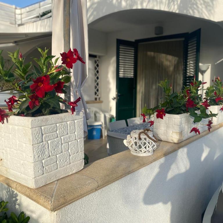 Le Palme House Isola delle Femmine - Casa con 1 Camera da Letto - 19