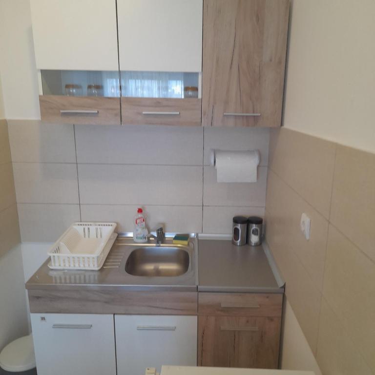 Apartman Ignjatović - One-Bedroom Apartment - 18