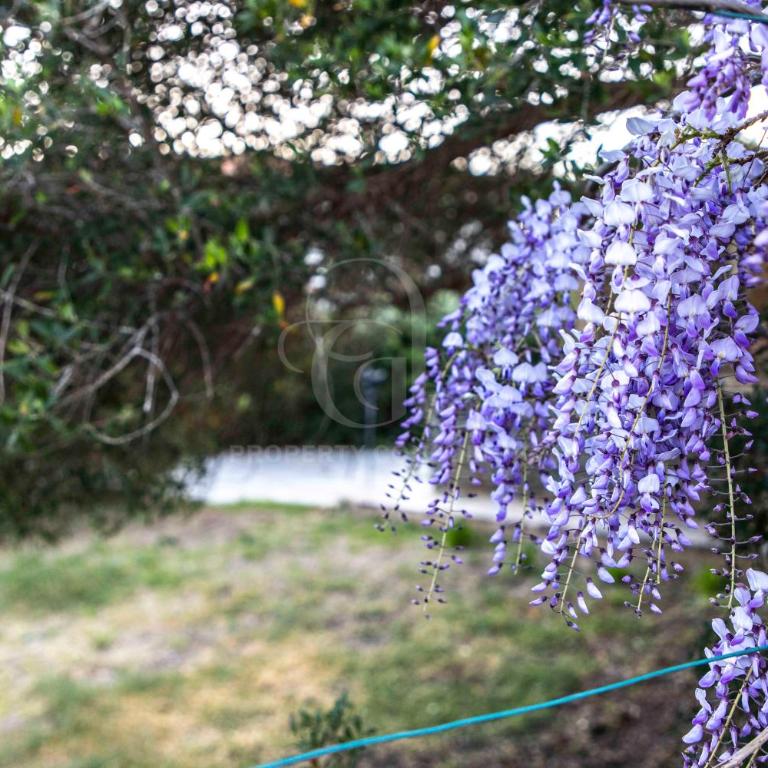 Il Glicine Cala Lupo - Appartamento con 2 Camere da Letto - 21