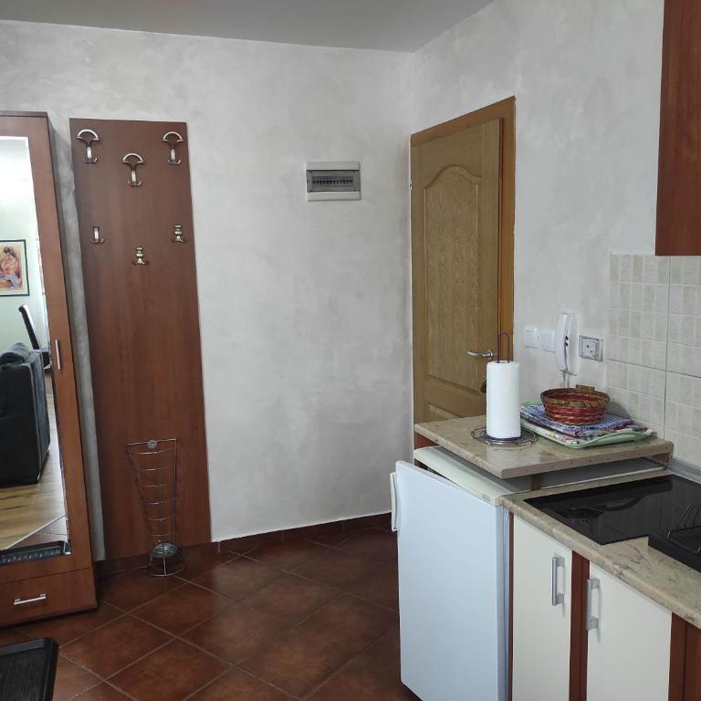 Apartments Vila Knez - Dupleks Apartman - 11