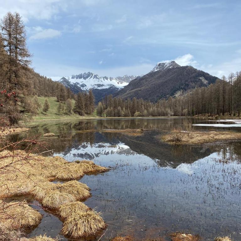 Les Granges d’Arvieux - Queyras - Appart 3ch./6p. - Appartement 3 Chambres - 26