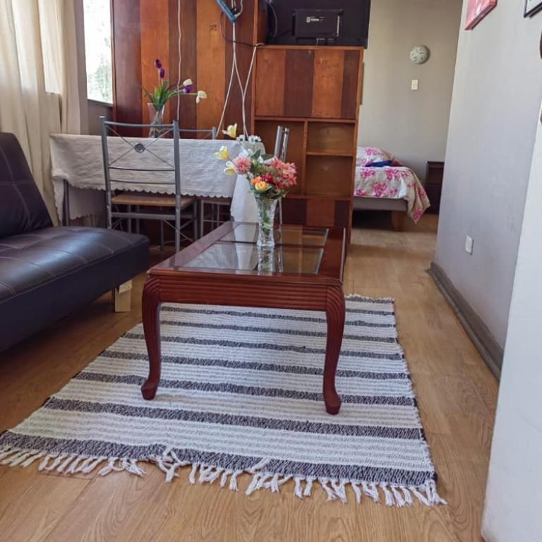 Departamento Plaza Parroquia Quinta Vergara - One-Bedroom Apartment - 4