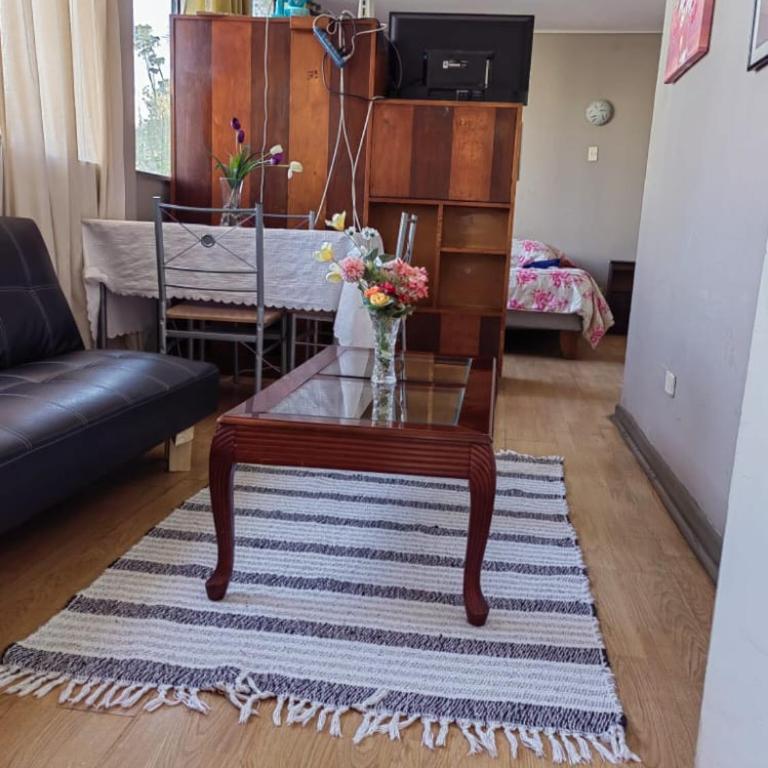 Departamento Plaza Parroquia Quinta Vergara - One-Bedroom Apartment - 6