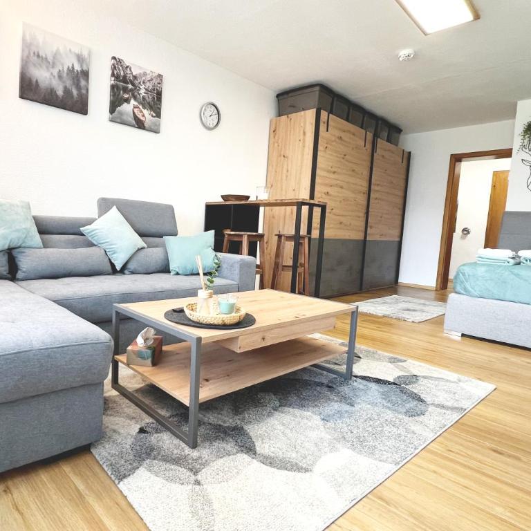 Moderne, 1-Zimmer Ferienwohnung mit Bergblick - Appartement 1 Chambre - 1