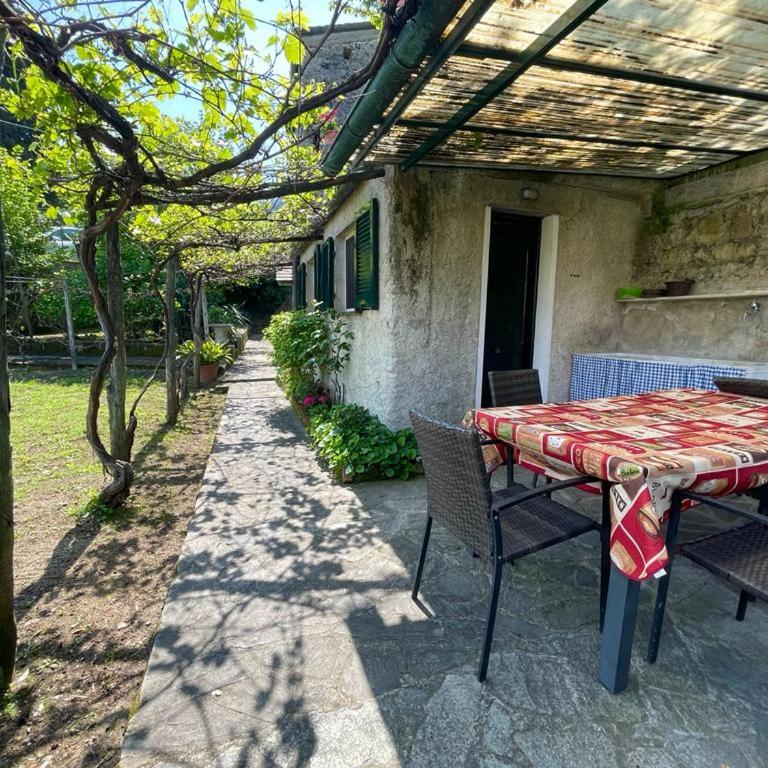 Lobster Cottage apartment - Appartamentino su 2 Livelli - 14