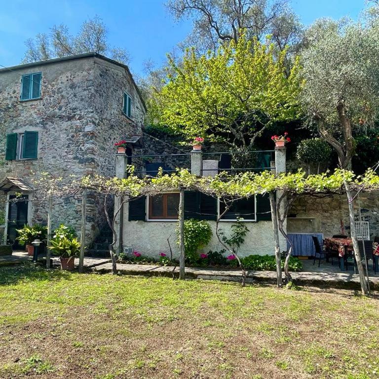 Lobster Cottage apartment - Appartamentino su 2 Livelli - 2