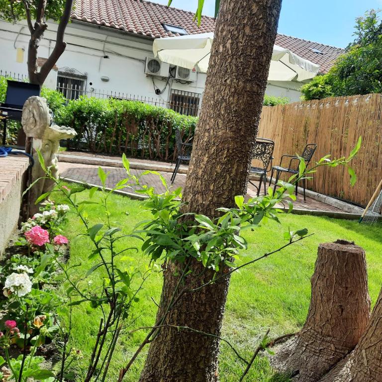 House Garden San Lorenzo - Appartamento con 1 Camera da Letto - 13