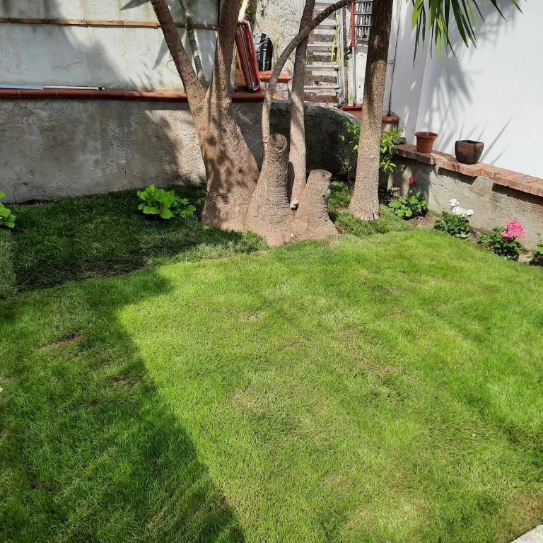 House Garden San Lorenzo - Appartamento con 1 Camera da Letto - 29
