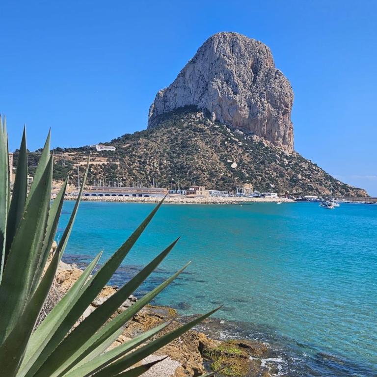Espectacular Bajo Lirio - Apartamento de 2 dormitorios - 28