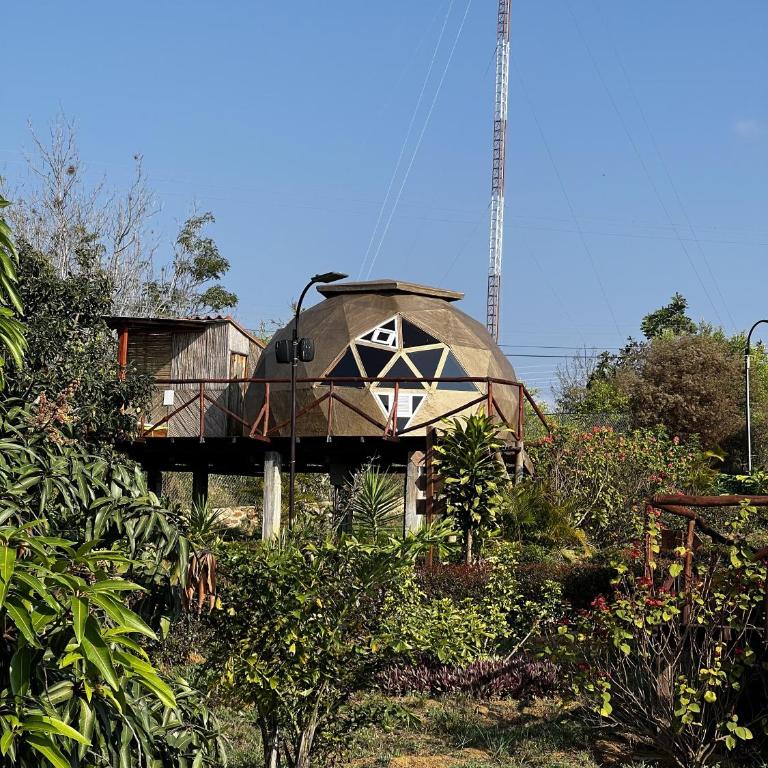 Hacienda y Glamping Casa Prada - Bungalow Deluxe - 1