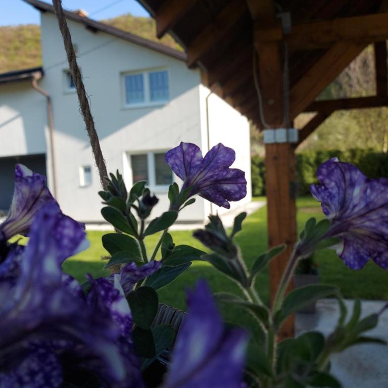 Luxury house "Heart of Nature" Visoko - Deluks Vila - 20