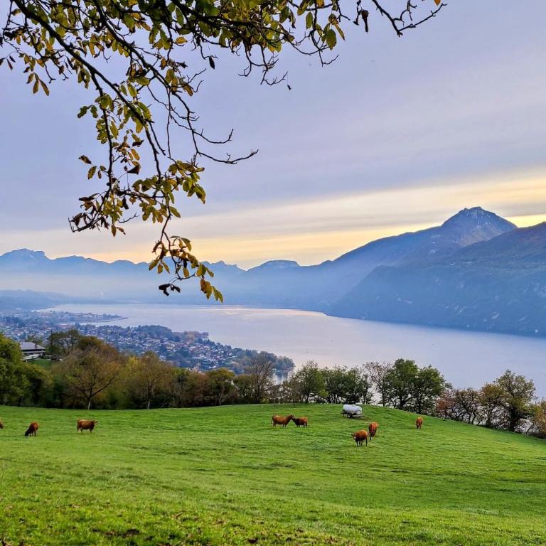 L'Alpage, vue lac - Casa con 2 Camere da Letto - 19