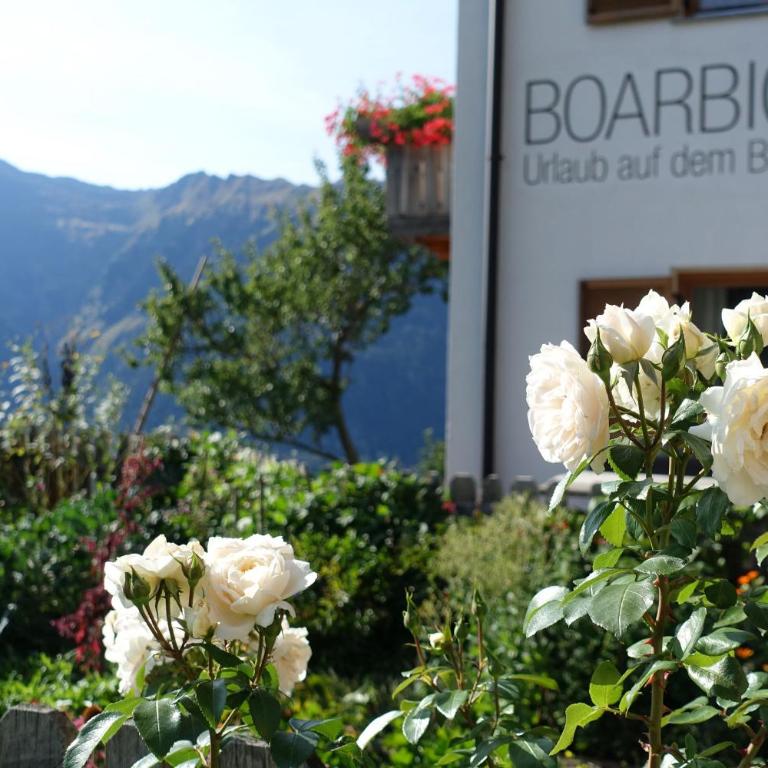 Ferienwohnung Boarbichlhof - Appartamento con 2 Camere da Letto e con Vista Montagna - 7