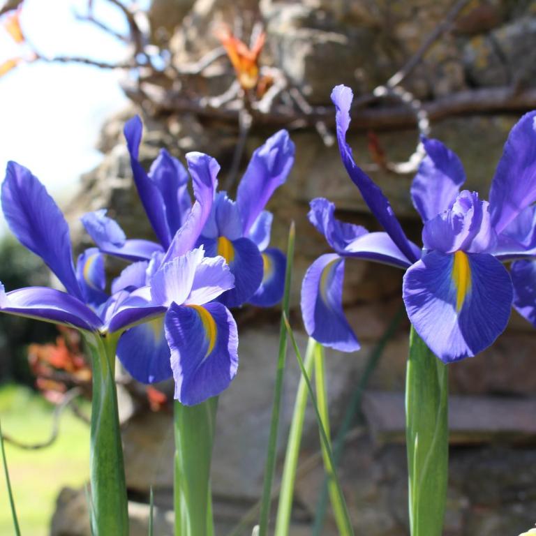 Mas Les Romarins, 10 min d'Uzès, piscine et grand jardin clos, jeux, nid de repos et base pour activités dans le Gard - Villa - Vue sur Jardin - 31