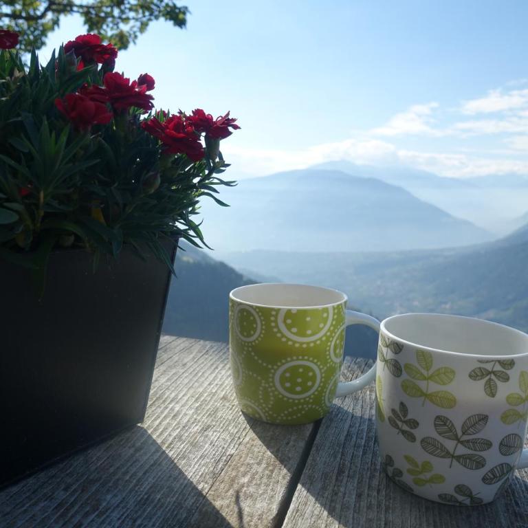 Ferienwohnung Boarbichlhof - Appartamento con 2 Camere da Letto e con Vista Montagna - 6