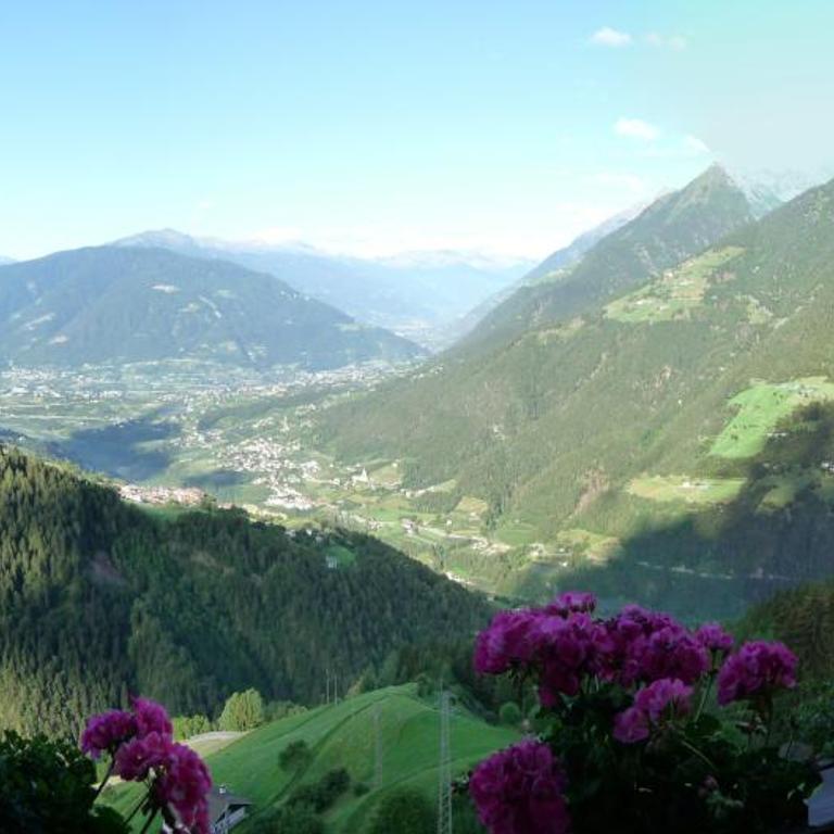 Ferienwohnung Boarbichlhof - Appartamento con 2 Camere da Letto e con Vista Montagna - 5