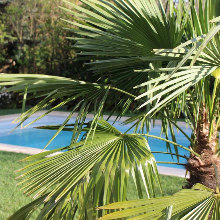 Mas Les Romarins, 10 min d'Uzès, piscine et grand jardin clos, jeux, nid de repos et base pour activités dans le Gard - Villa - Vue sur Jardin - 32