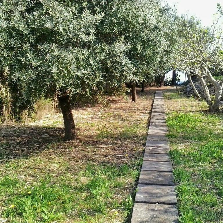 Gaeta Villino Isabella - Casa Vacanze - 12