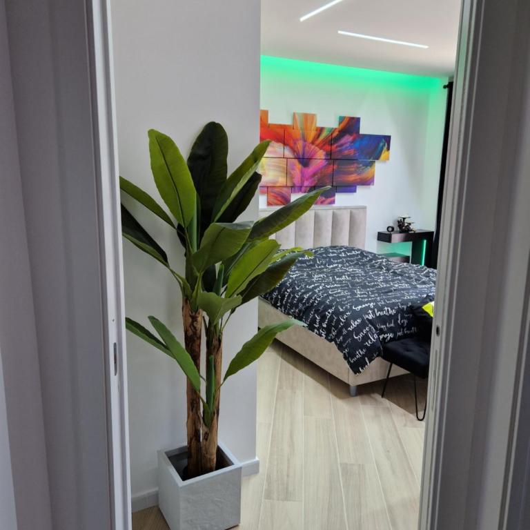 LA CASA DI TIAGO - Appartamento con 2 Camere da Letto - 22