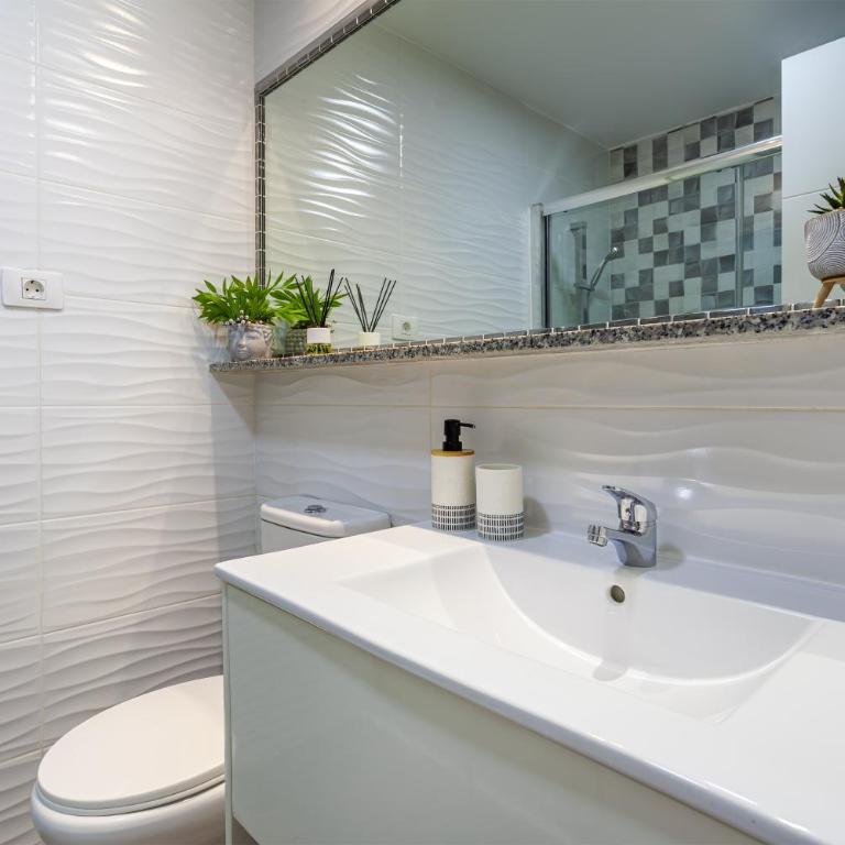 cactus - Apartamento de 2 dormitorios - 15