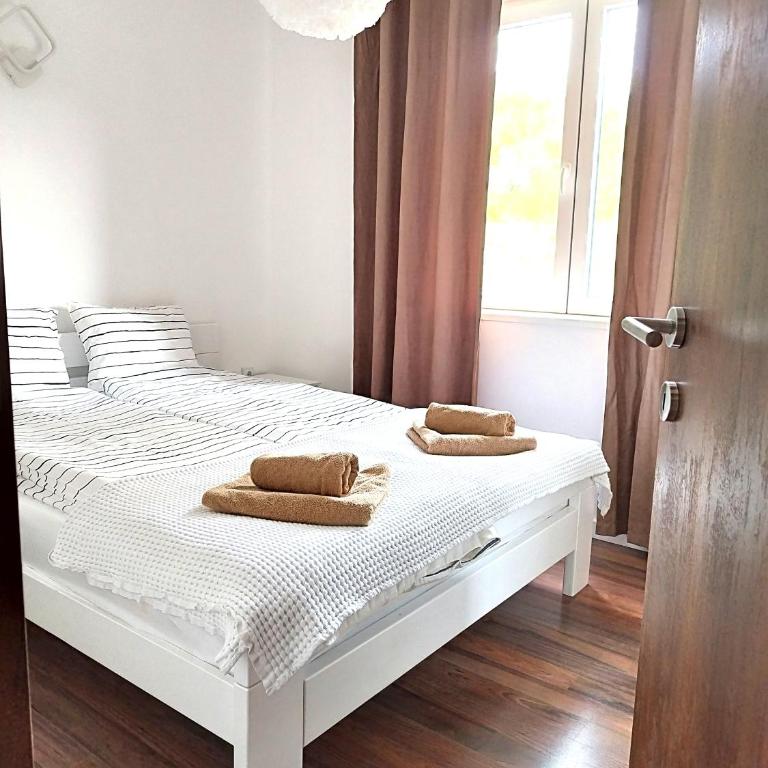 Apartmani ZAT - Apartman sa 1 Spavaćom Sobom - 1