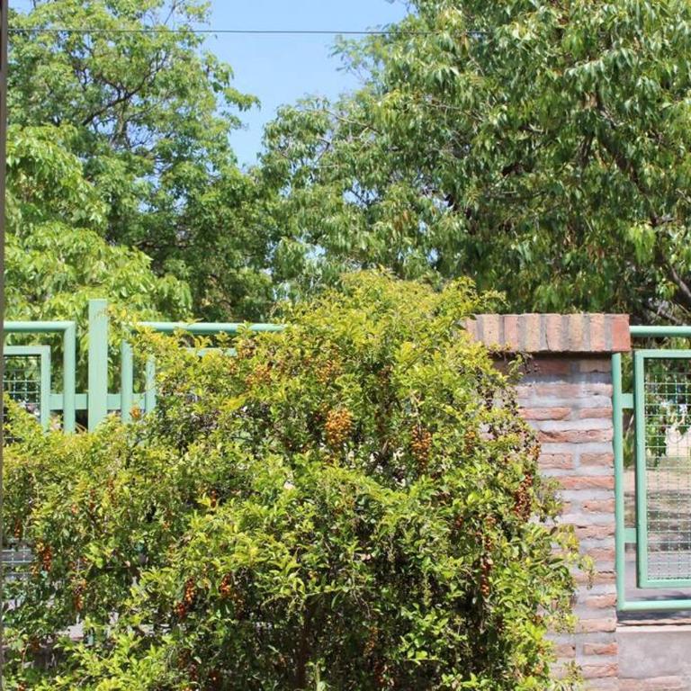 Ventanas al cerro recargado! - Apartamento de 1 dormitorio - 3