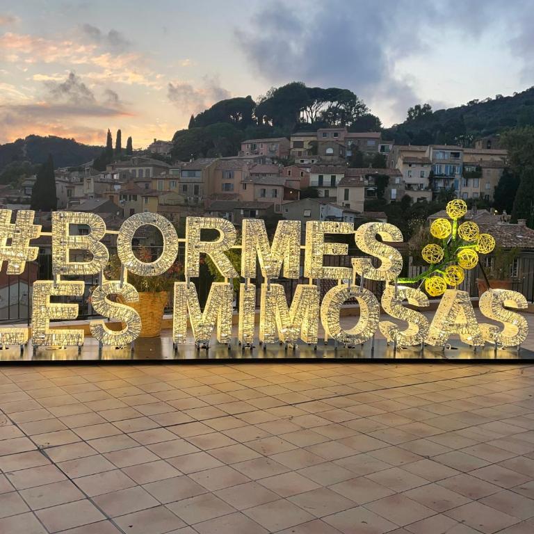 Appartement pieds dans l’eau Vue Mer Bormes Les Mimosas - One-Bedroom Apartment - 19