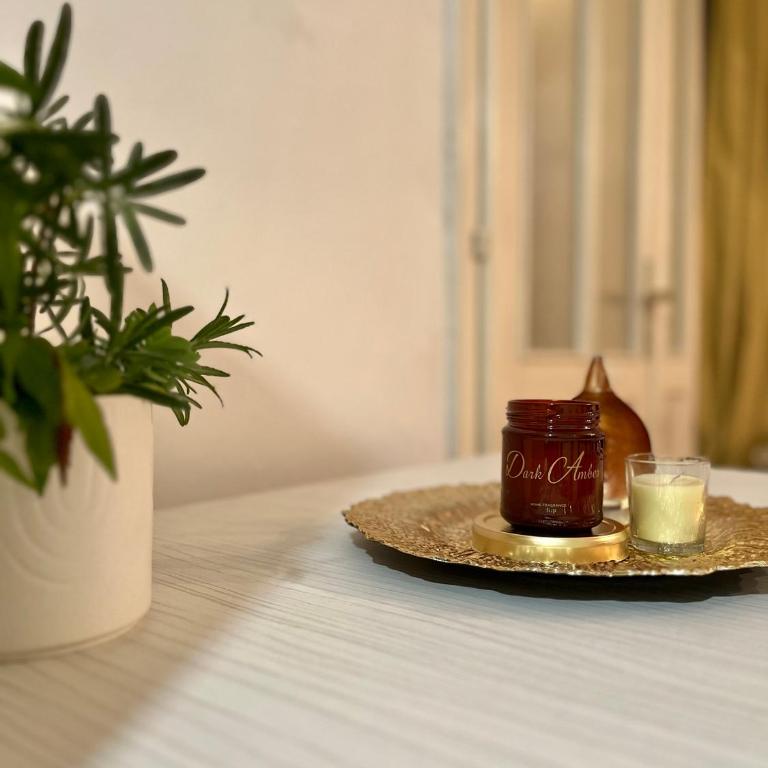 Tradicional Apartment - One-Bedroom Apartment - 2