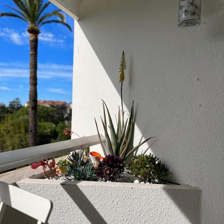 Parc Montfleury - Appartement - Vue sur Jardin - 32