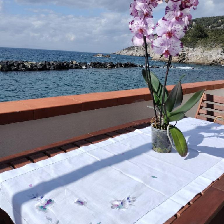Casa Vacanza Verde Smeraldo- (San Montano) - Appartamento con 2 Camere da Letto - 26