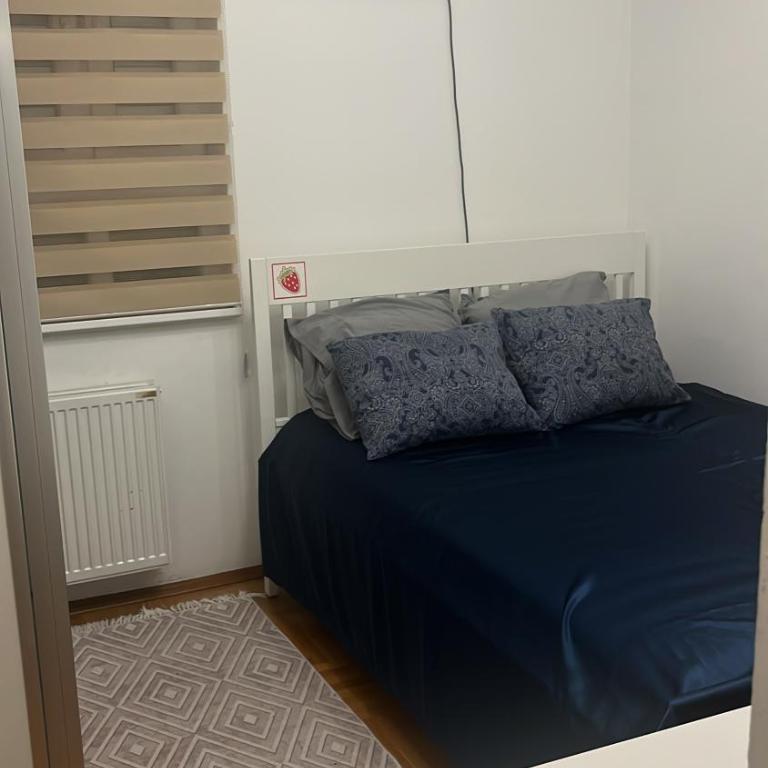 ILAS APARTMAN - Apartman sa 2 Spavaće Sobe - 12