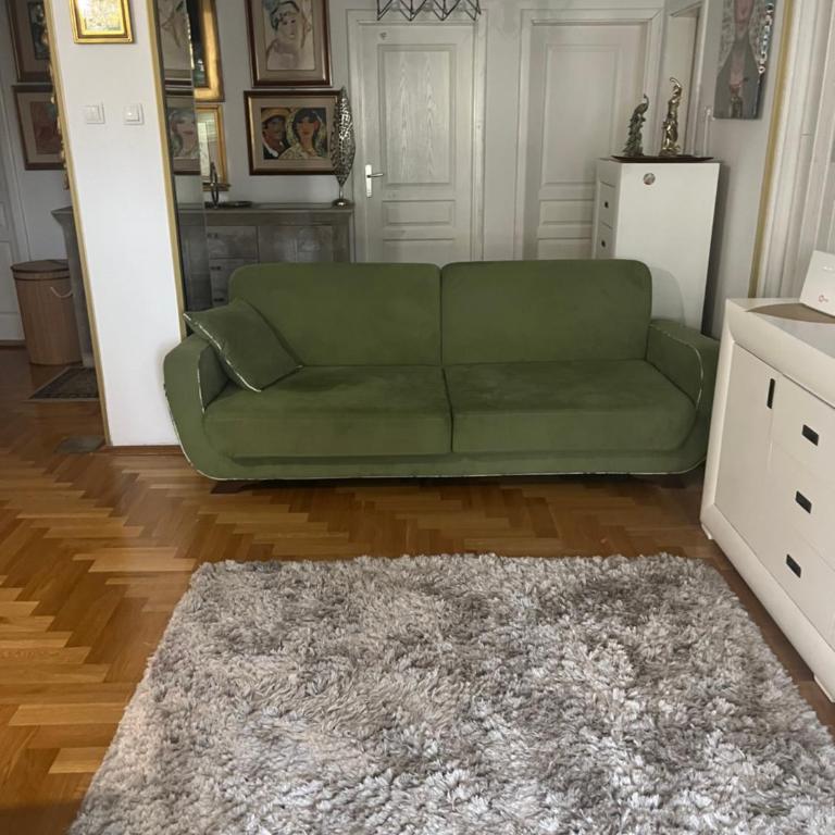 ILAS APARTMAN - Apartman sa 2 Spavaće Sobe - 14