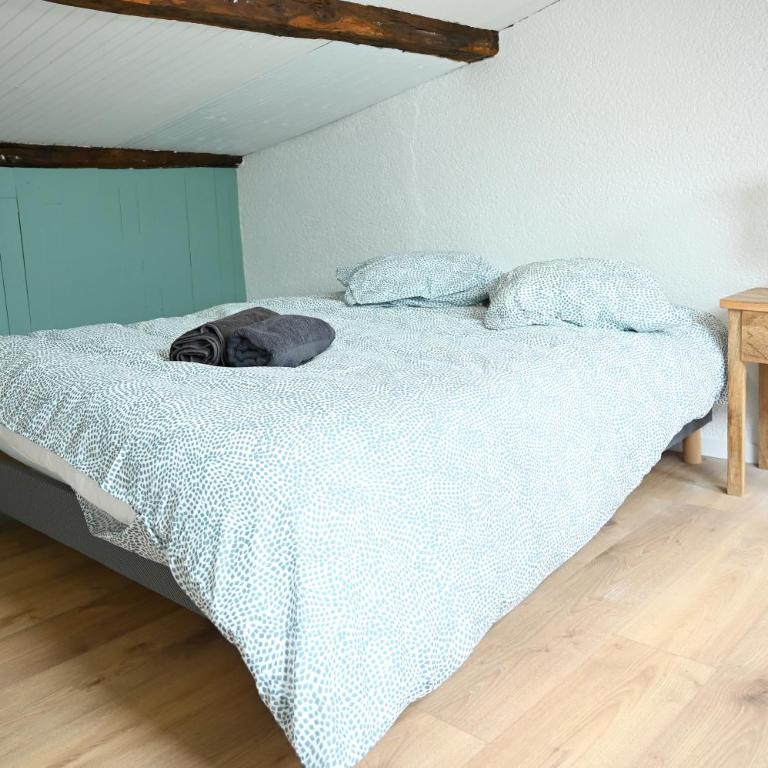 Maison avec spa dans l'hyper centre de Poitiers - Villa - 19