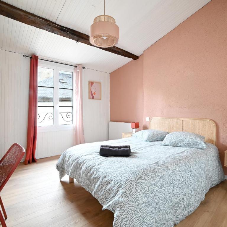 Maison avec spa dans l'hyper centre de Poitiers - Villa - 16