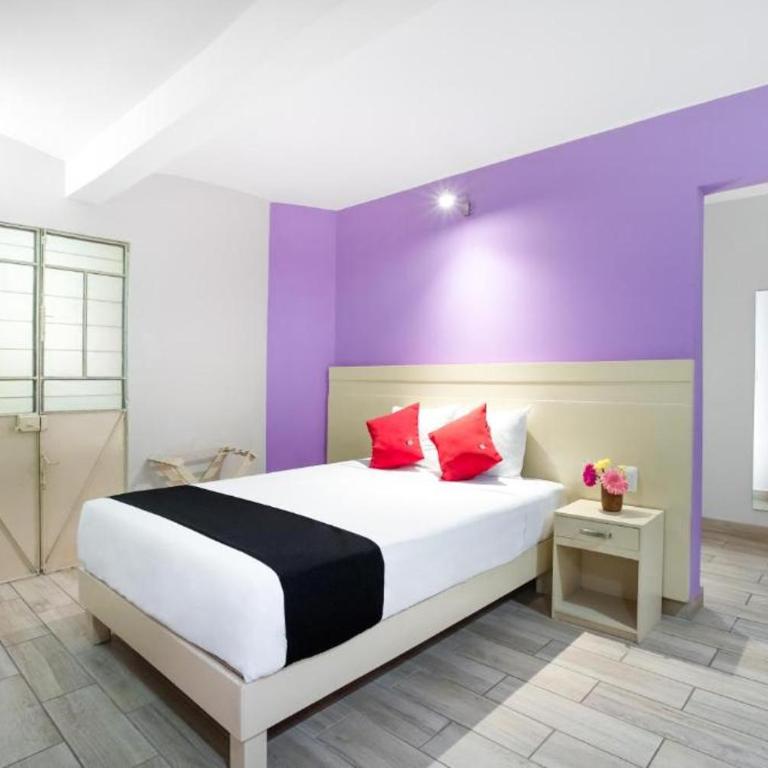 Hotel El Andariego - Suite Junior - 2