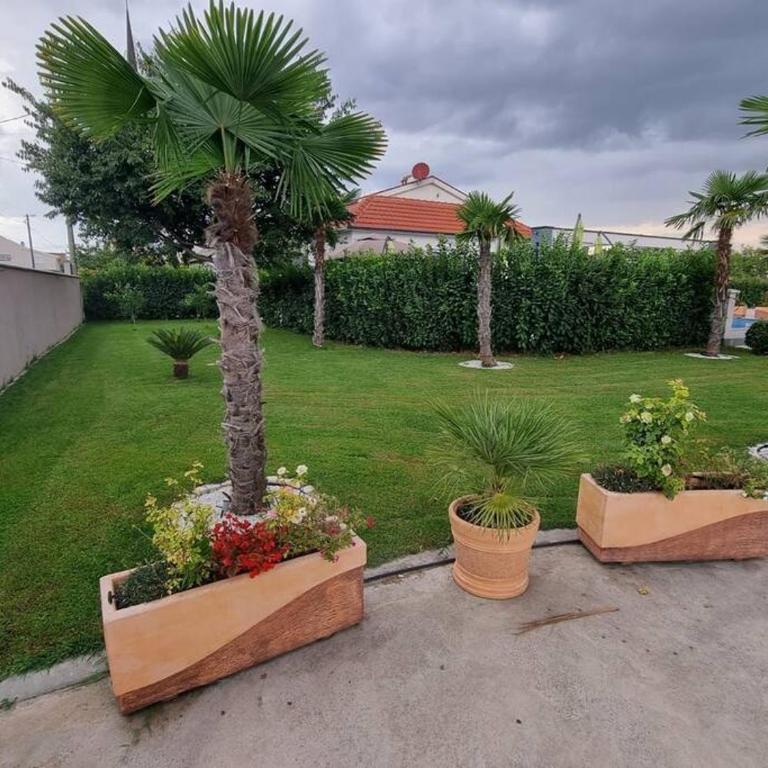 Villa „Taki“ Podgorica - Villa - 15