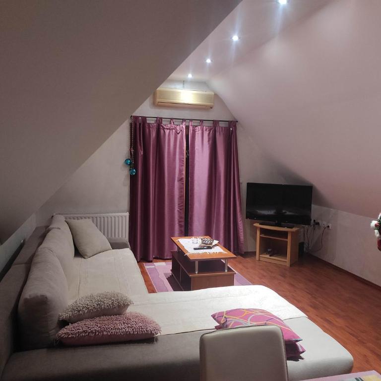 Apartments Vila Knez - Apartman sa 1 Spavaćom Sobom - 2
