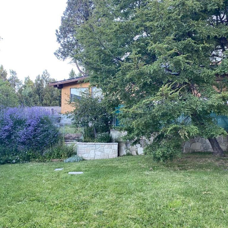 Suite Sur - Apartamento de 1 dormitorio - 5
