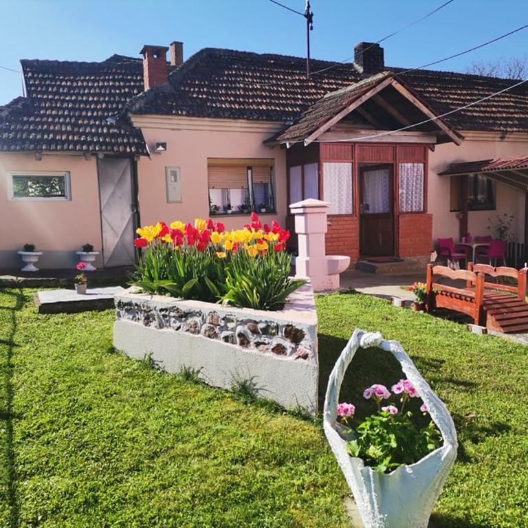 KOD BAKE - Apartman sa 1 Spavaćom Sobom - 41
