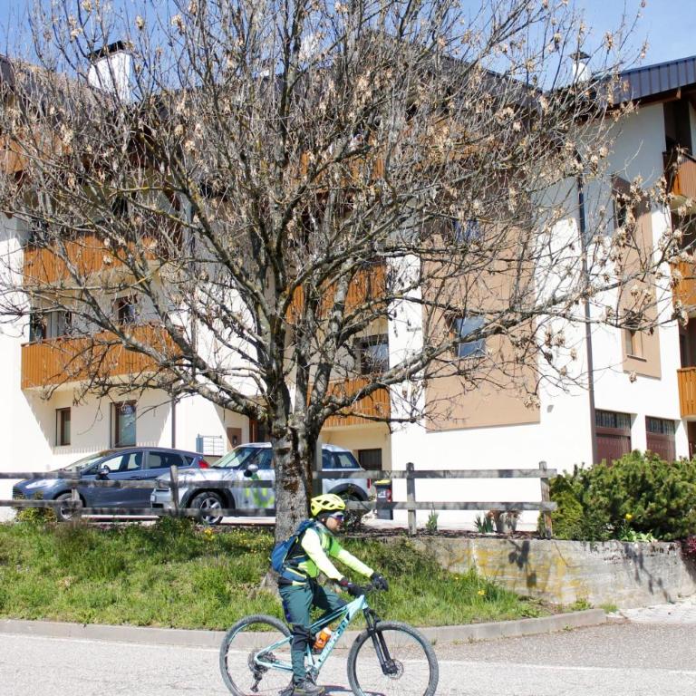 CASA YARA - Agenzia Dolomiti Affitti - Appartamento Superior - 35