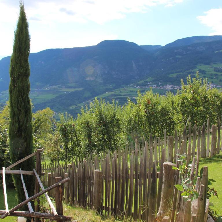 Appartements Riegelehof - Appartamento con 1 Camera da Letto - 22